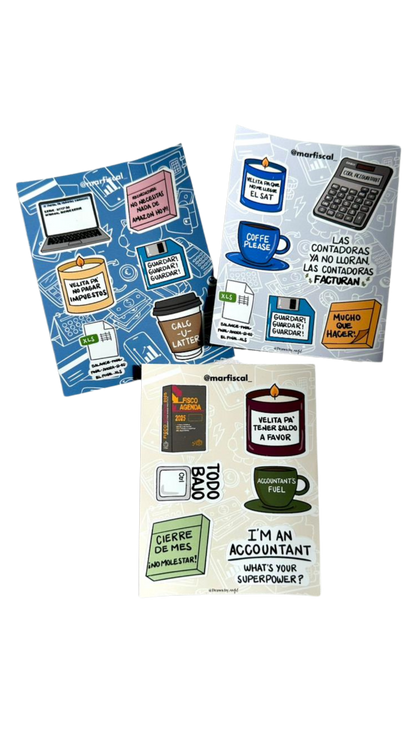 18 Stickers Accountant Vibes - For book